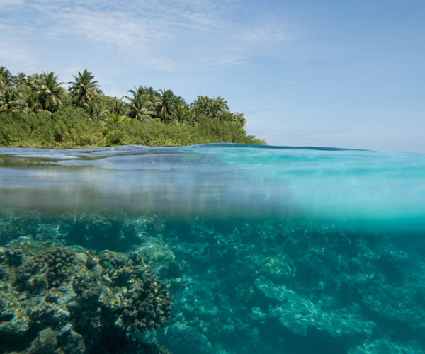 Embudu Insel Malediven