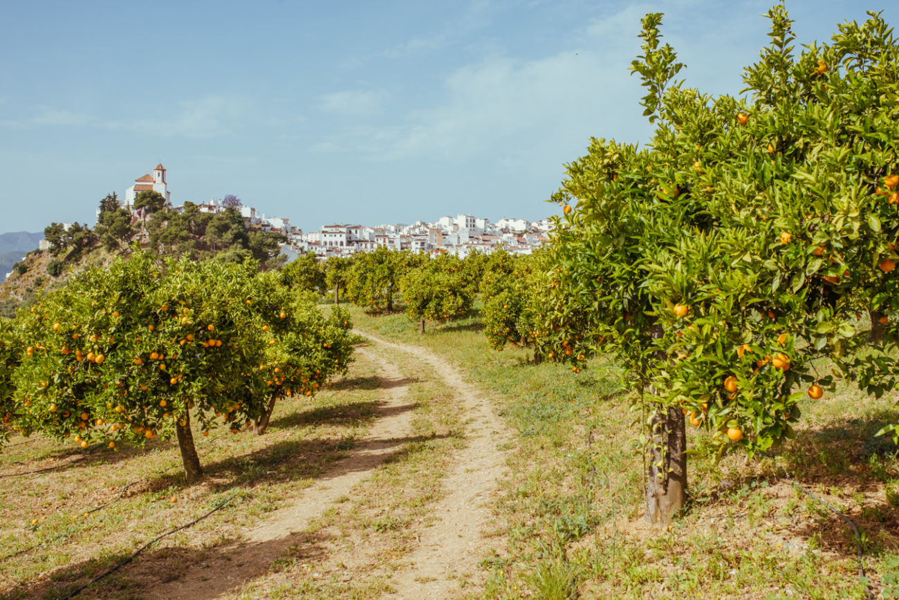 Reisebericht Andalusien: Malaga, Granada, Nerja, Ronda, Alozaina