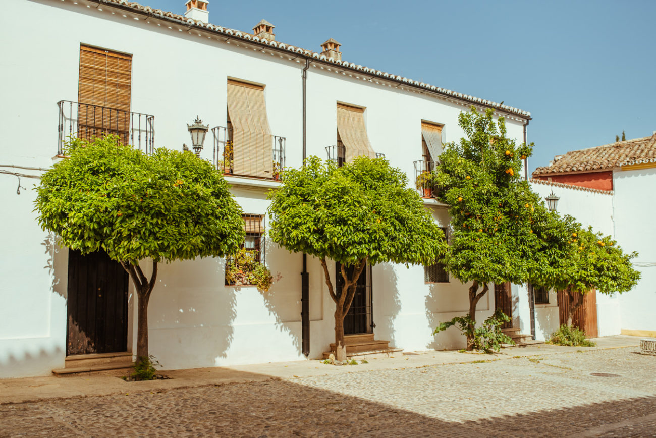 Reisebericht Andalusien: Malaga, Granada, Nerja, Ronda, Alozaina