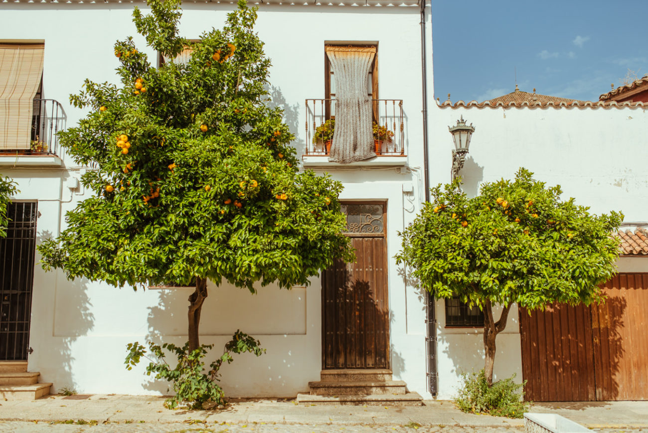 Reisebericht Andalusien: Malaga, Granada, Nerja, Ronda, Alozaina