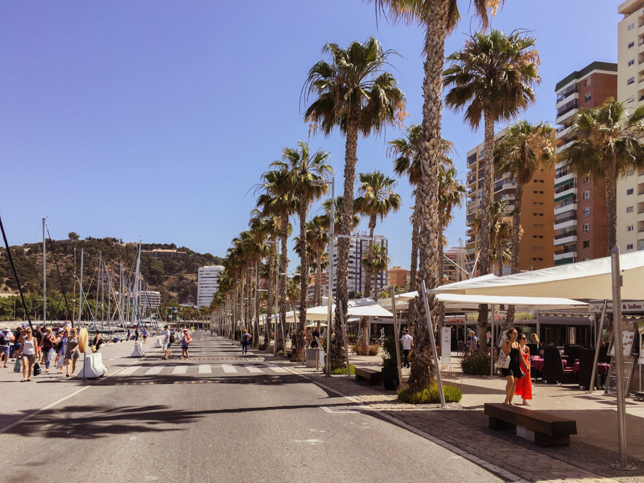 Reisebericht Andalusien: Malaga, Granada, Nerja, Ronda, Alozaina