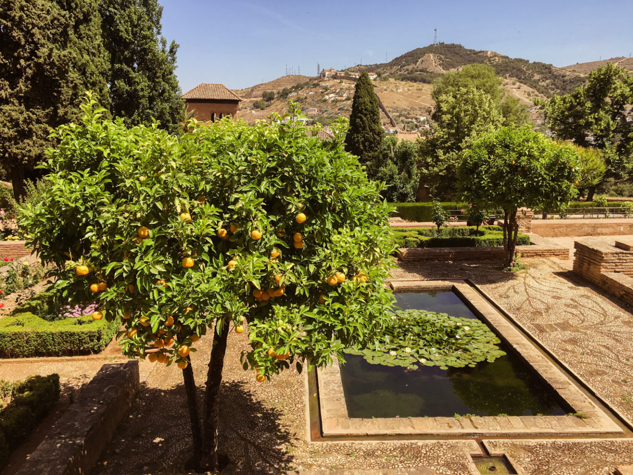 Reisebericht Andalusien: Malaga, Granada, Nerja, Ronda, Alozaina