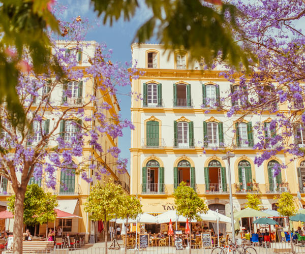 Reisebericht Andalusien: Malaga, Granada, Nerja, Ronda, Alozaina