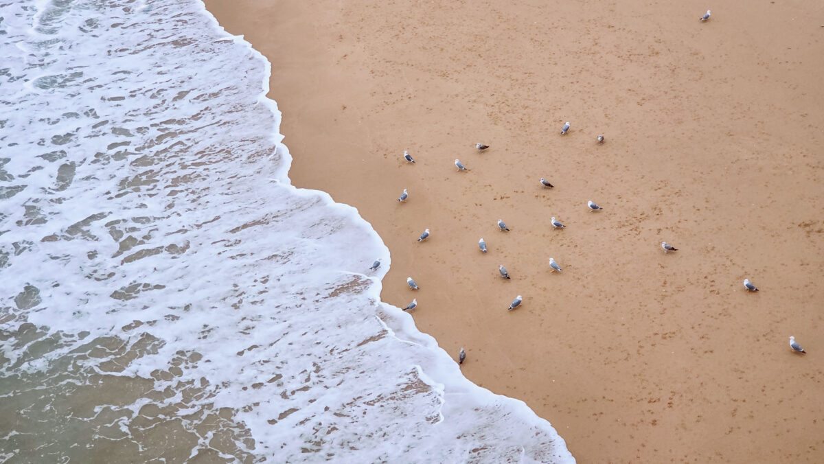 Algarve-Wanderung im Winter
