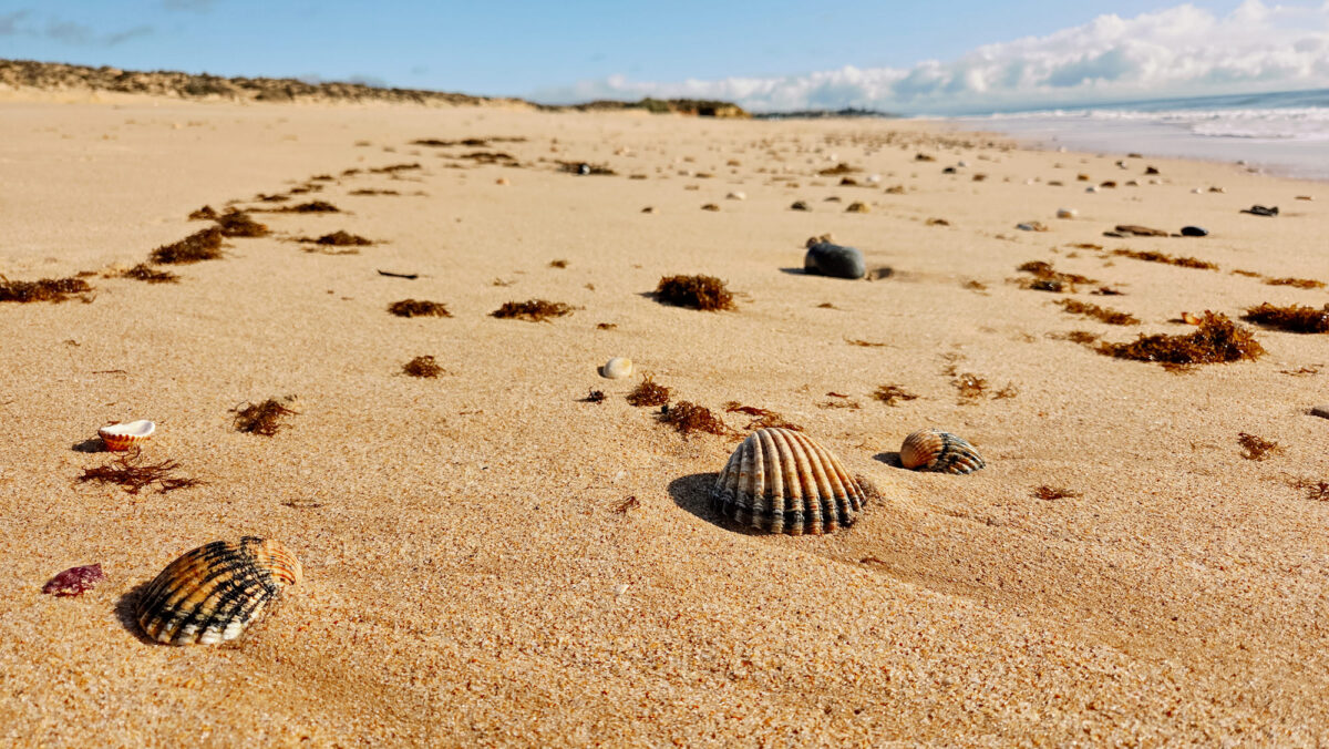 Algarve-Wanderung im Winter